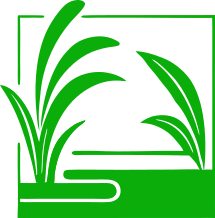 Logo DomácíOáza.cz